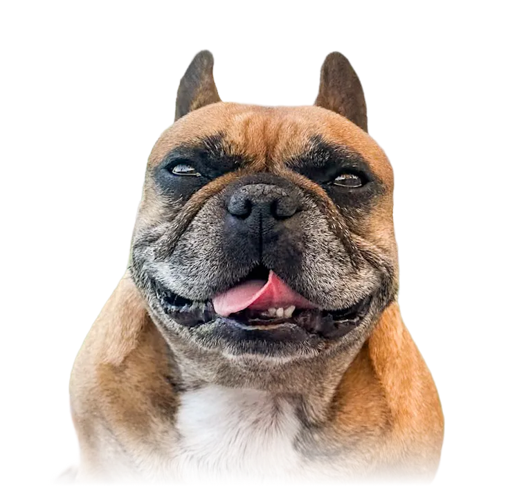 Click to enter Bad Penny